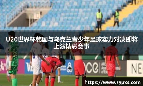 熊猫体育